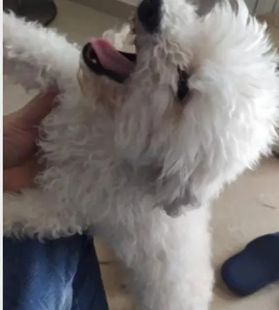 Affitta Da Marcello *