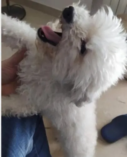 Affitta Da Marcello *